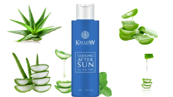 Cooling After Sun  150ml. DXN Kallow 23-28